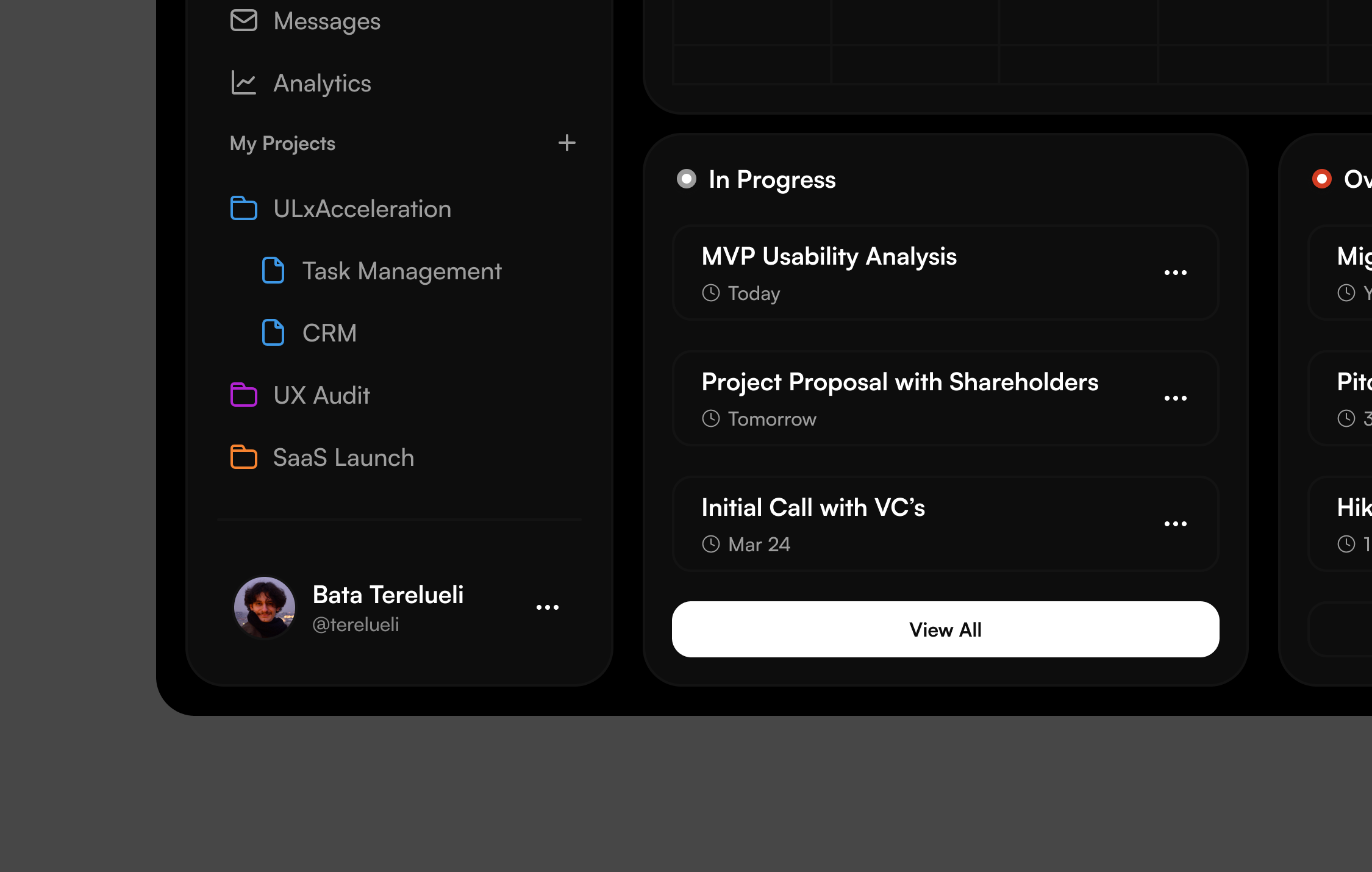 A screen of Bata Terelueli's task management project